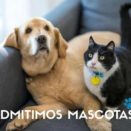 Centro 3000 * Isla de Arosa